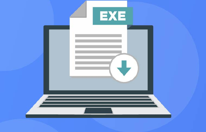 The Significance of Executable Program