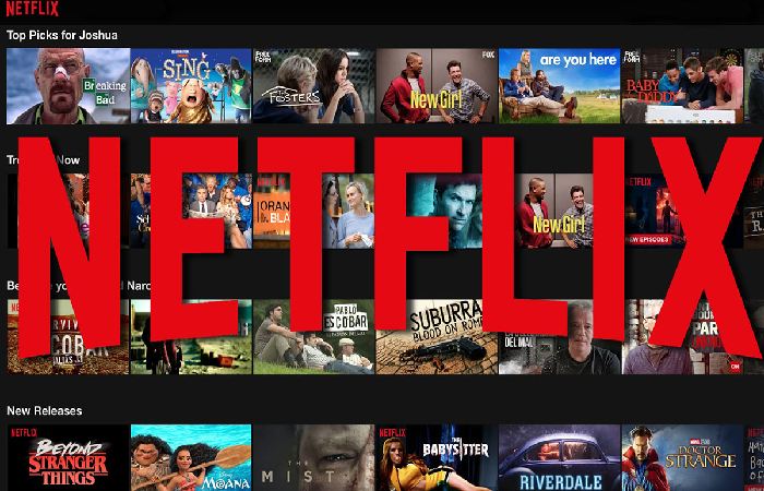 What are the features of Netflix?